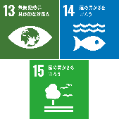 SDGs_7_11_13_15